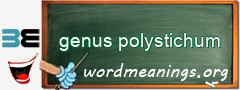 WordMeaning blackboard for genus polystichum